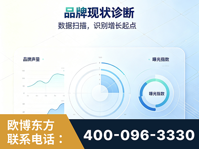 高碑店-品牌现状诊断