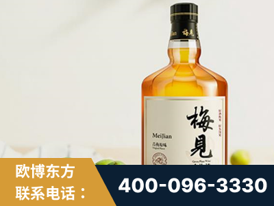 高碑店-梅见青梅酒